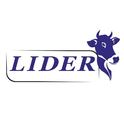 Logotip Lider, логотип Лидер